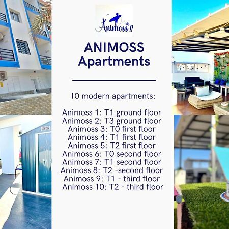 Animos! Apartments - 10 Modern Apartments Near The City & Beach, Perfect For Nomads, Travellers, Families, Watersports! Santa Maria Ngoại thất bức ảnh