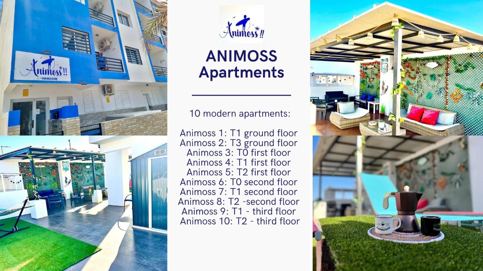 Animos! Apartments - 10 Modern Apartments Near The City & Beach, Perfect For Nomads, Travellers, Families, Watersports! Santa Maria Ngoại thất bức ảnh